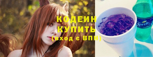 спайс Каменка