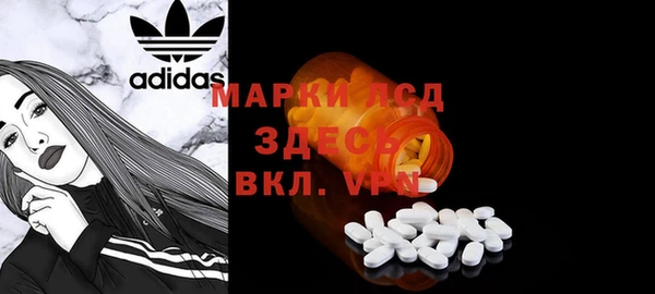 спайс Каменка