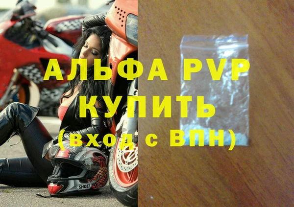 спайс Каменка