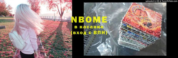 спайс Каменка